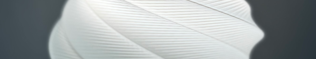 Banner 3