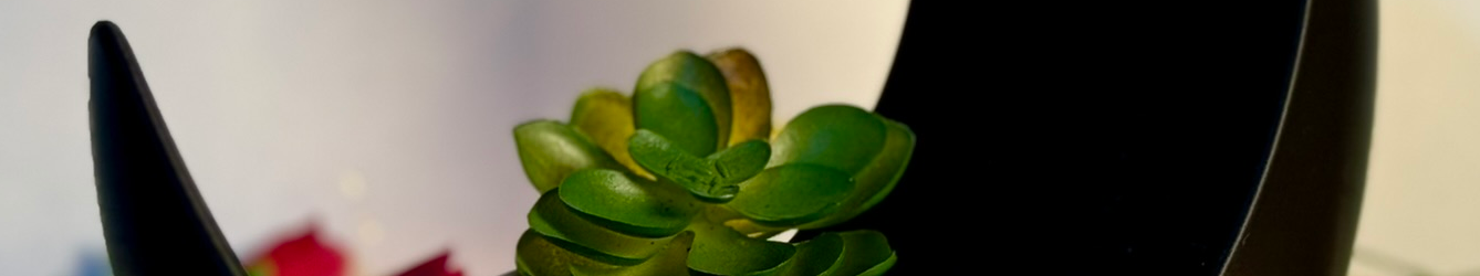 Banner 7